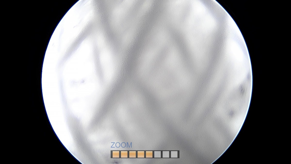 f701f577d2a1d4abc2e781cde09fc22f_1645592301_408.jpg