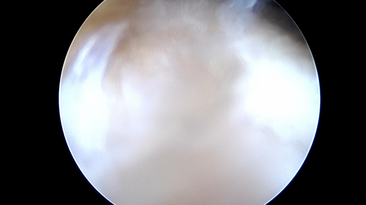 f701f577d2a1d4abc2e781cde09fc22f_1645592418_5733.jpg
