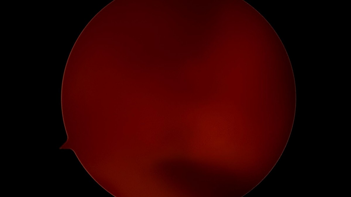 f701f577d2a1d4abc2e781cde09fc22f_1645597696_7121.jpg