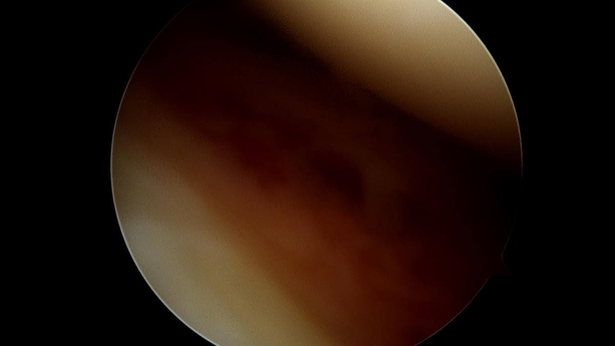 f701f577d2a1d4abc2e781cde09fc22f_1645597699_3275.jpg