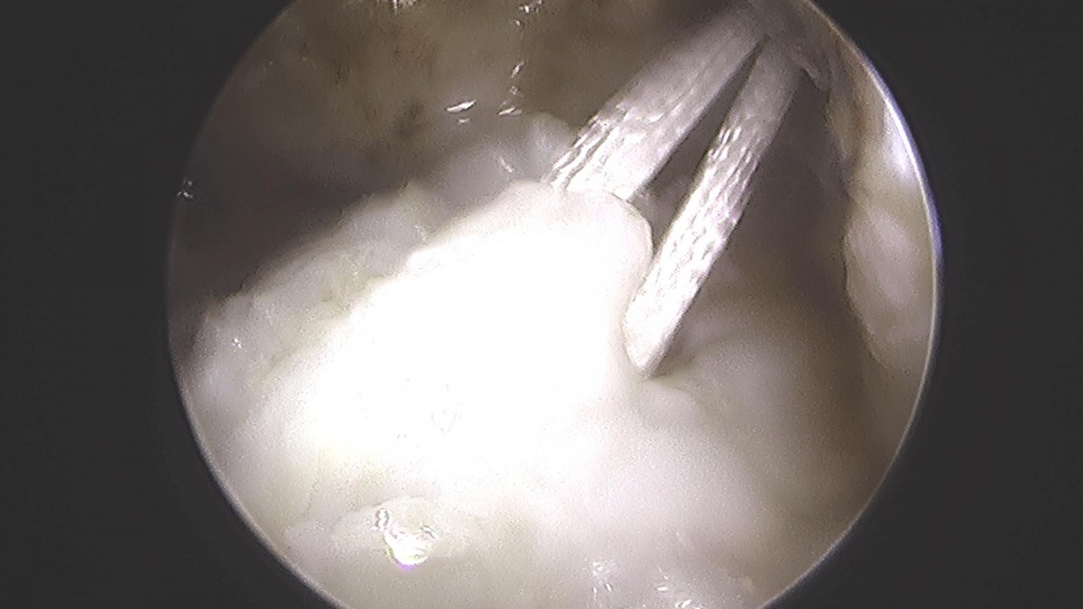 f701f577d2a1d4abc2e781cde09fc22f_1645599550_5206.jpg