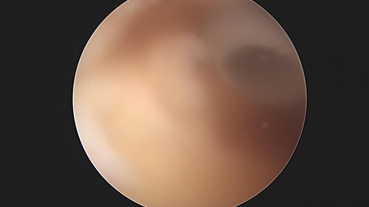f47e23d843fae2fb15fe793f776ac097_1649755164_6845.jpg