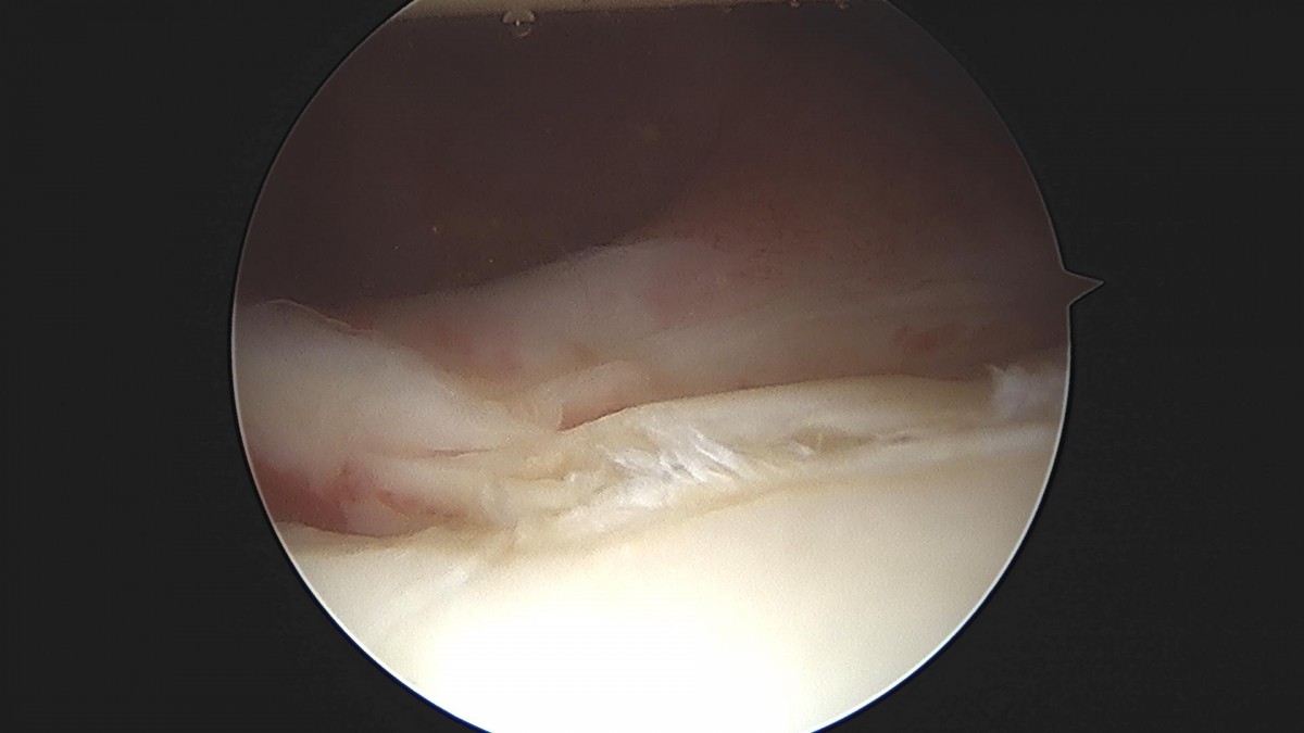 3cd48a8e02e388456e21d82dd041ccef_1652064700_4139.jpg