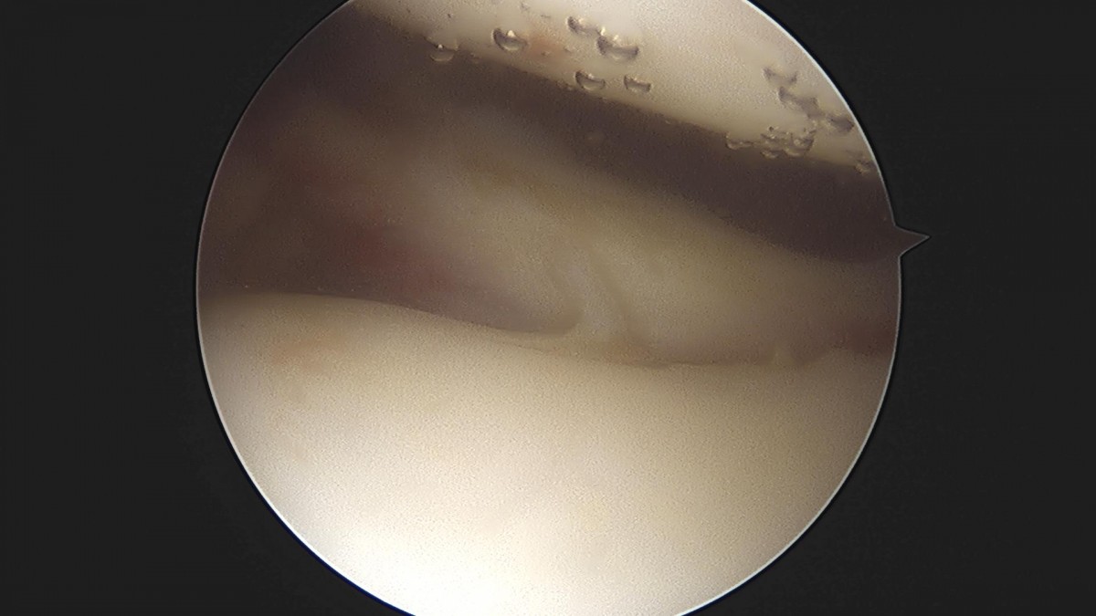 3cd48a8e02e388456e21d82dd041ccef_1652064701_0879.jpg