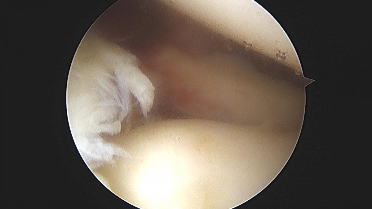 3cd48a8e02e388456e21d82dd041ccef_1652064701_7836.jpg