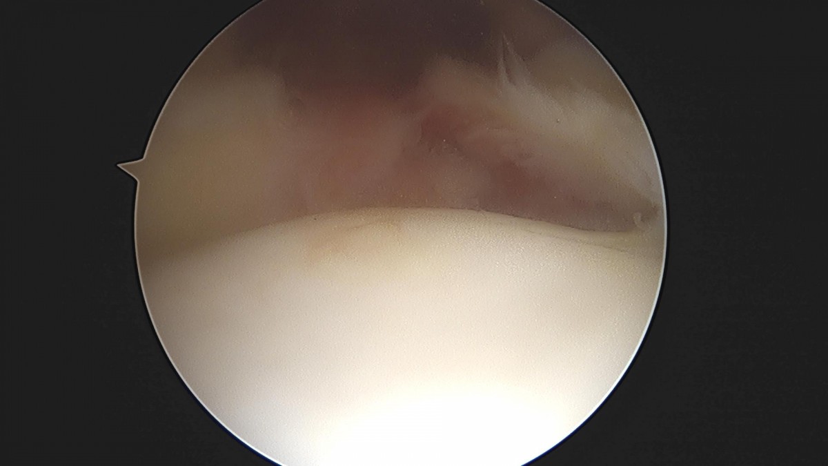 3cd48a8e02e388456e21d82dd041ccef_1652064702_4137.jpg