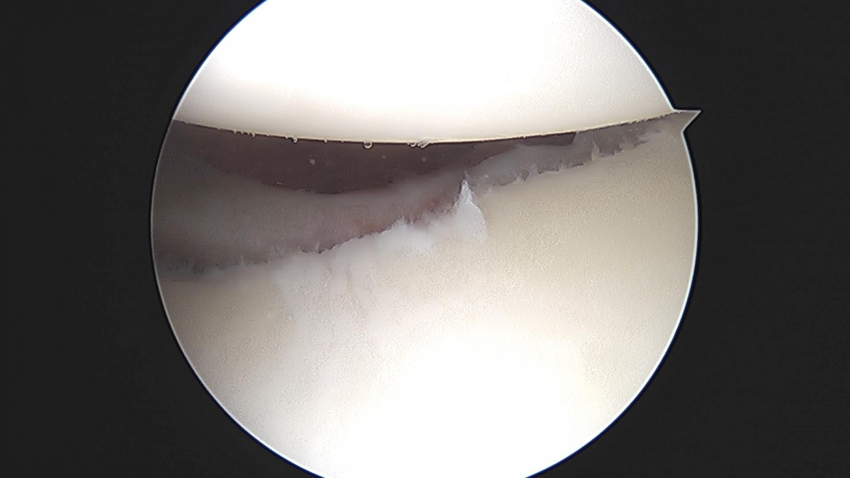 3cd48a8e02e388456e21d82dd041ccef_1652064703_7528.jpg