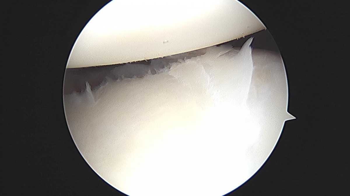 3cd48a8e02e388456e21d82dd041ccef_1652064704_4674.jpg