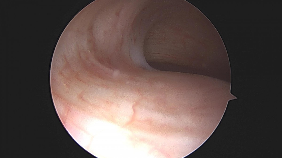 3cd48a8e02e388456e21d82dd041ccef_1652064705_7907.jpg