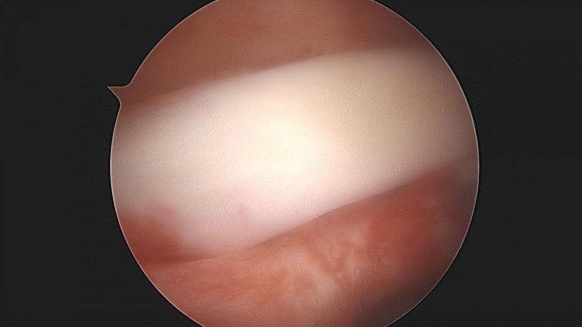 3cd48a8e02e388456e21d82dd041ccef_1652064958_5705.jpg