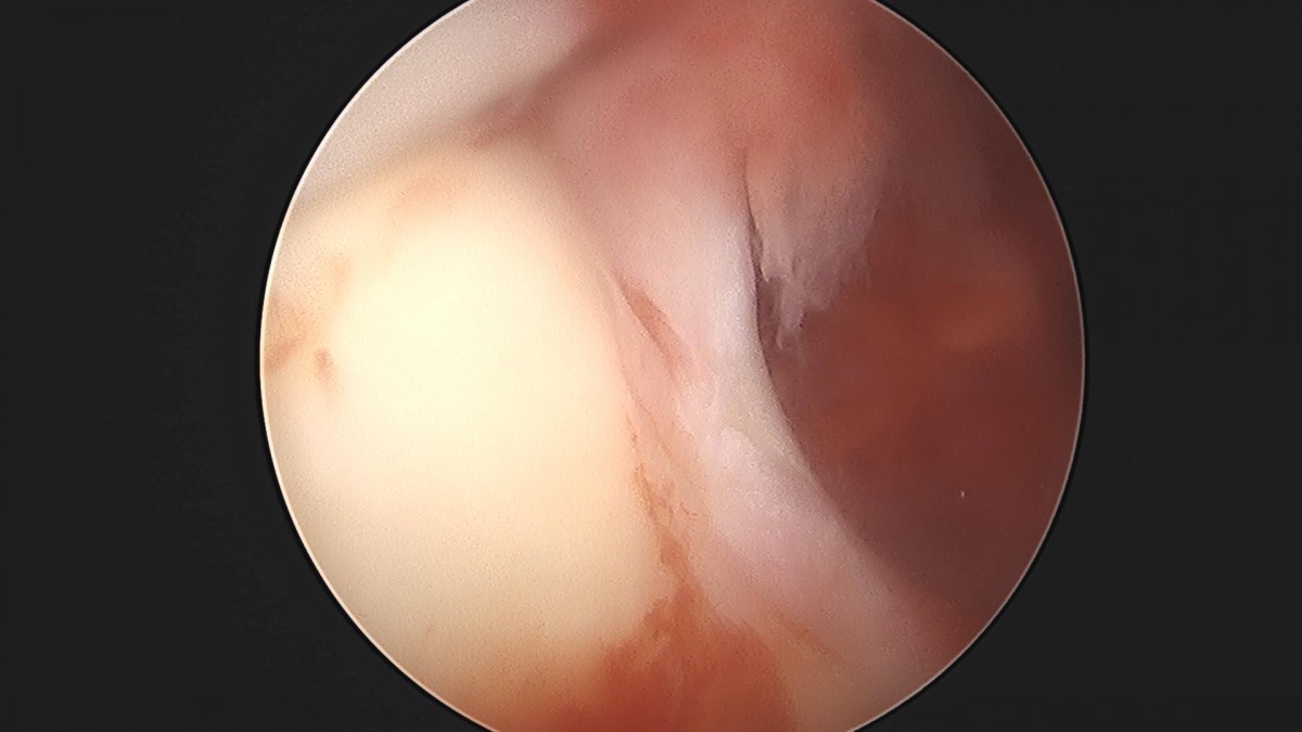 3cd48a8e02e388456e21d82dd041ccef_1652064959_2597.jpg