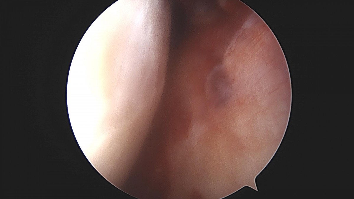 3cd48a8e02e388456e21d82dd041ccef_1652064960_6539.jpg