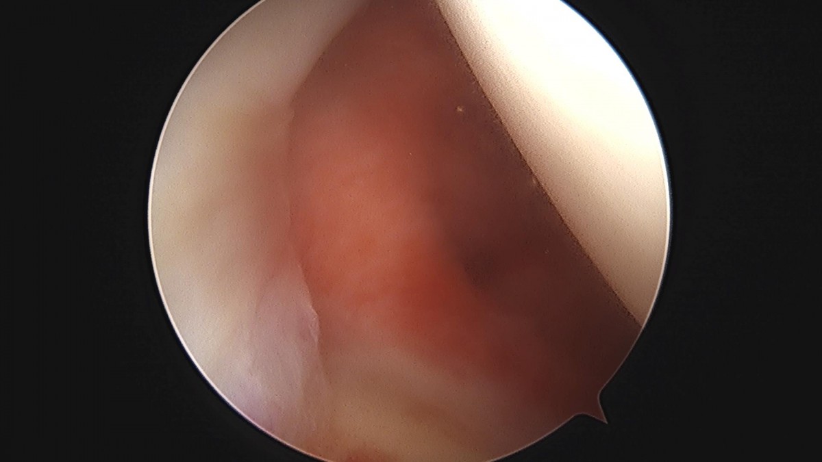 3cd48a8e02e388456e21d82dd041ccef_1652065065_1203.jpg