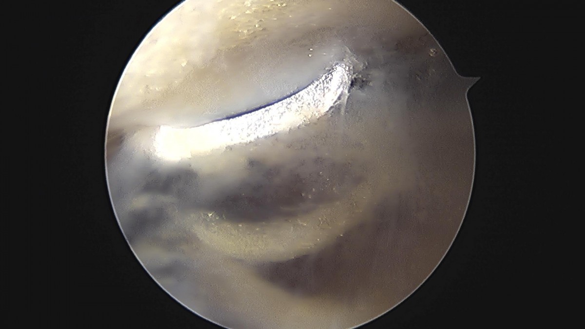 3cd48a8e02e388456e21d82dd041ccef_1652065065_8033.jpg