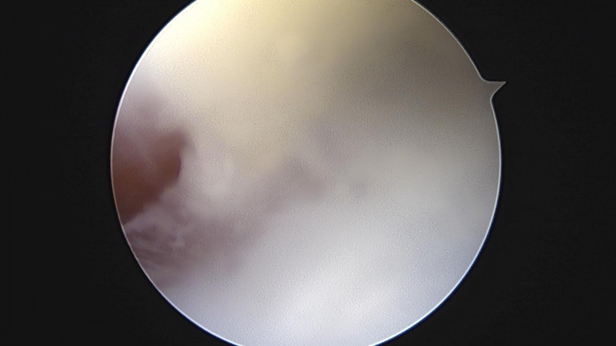 3cd48a8e02e388456e21d82dd041ccef_1652065066_4903.jpg
