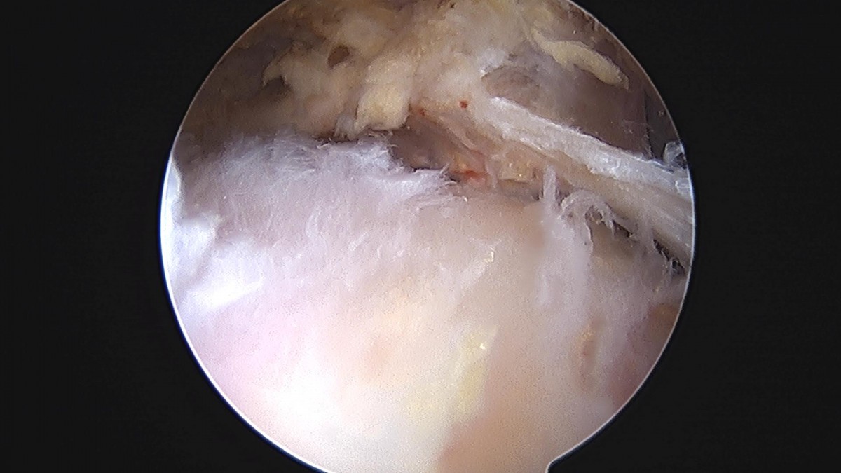 3cd48a8e02e388456e21d82dd041ccef_1652065067_1432.jpg
