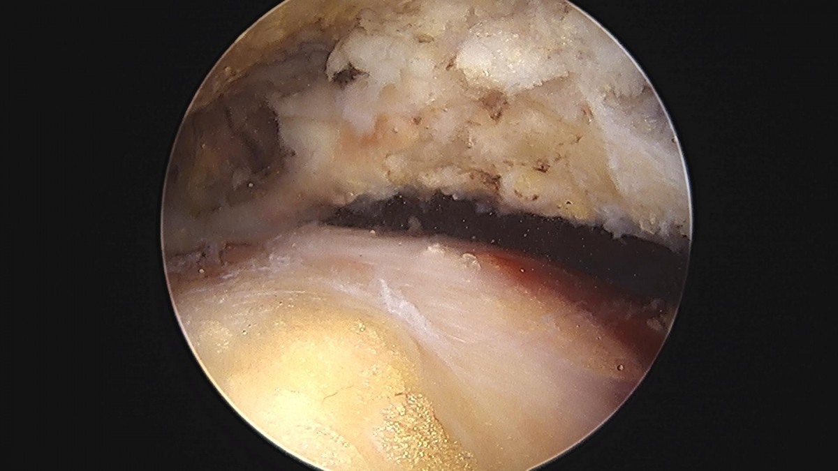 3cd48a8e02e388456e21d82dd041ccef_1652065068_4294.jpg