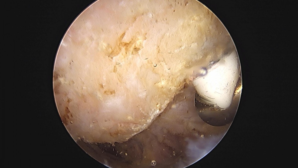 3cd48a8e02e388456e21d82dd041ccef_1652065069_0746.jpg