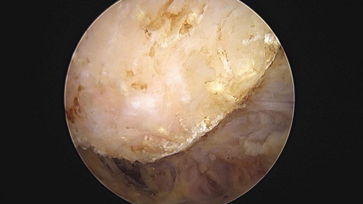 3cd48a8e02e388456e21d82dd041ccef_1652065069_7396.jpg