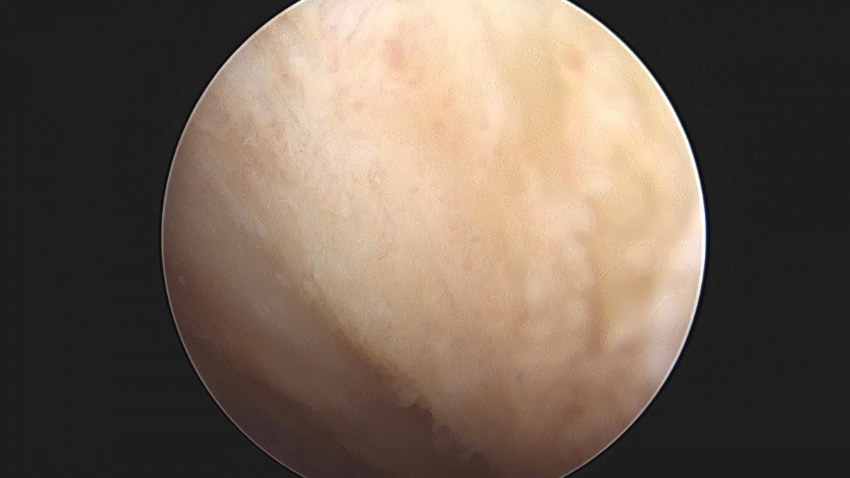 3cd48a8e02e388456e21d82dd041ccef_1652065599_5239.jpg