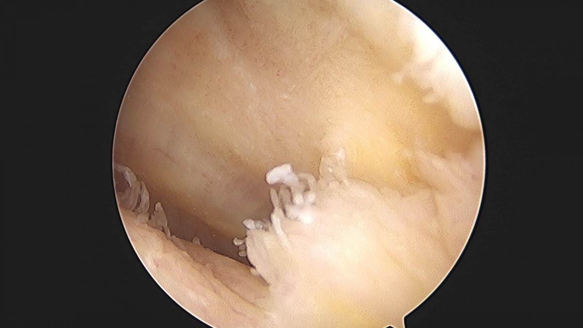 3cd48a8e02e388456e21d82dd041ccef_1652065600_1749.jpg