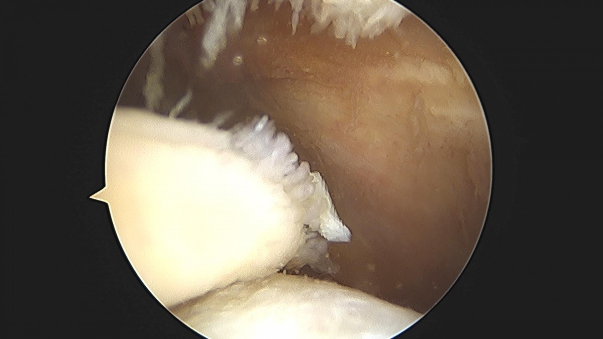 3cd48a8e02e388456e21d82dd041ccef_1652065600_8487.jpg