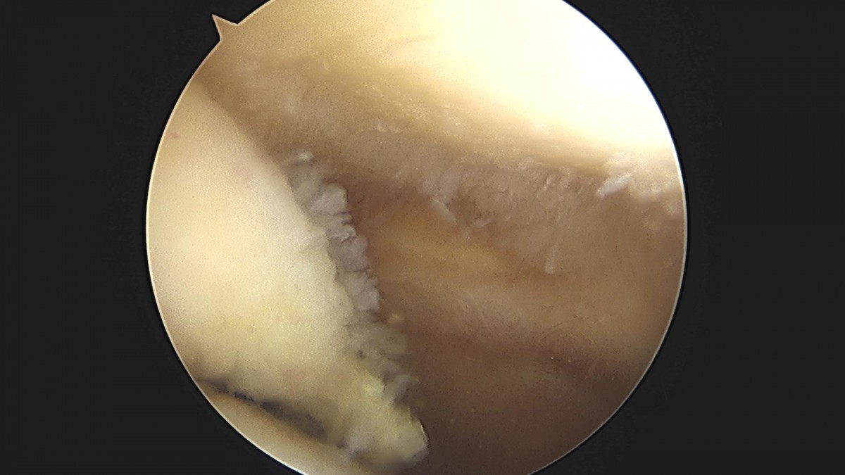 3cd48a8e02e388456e21d82dd041ccef_1652065601_5818.jpg