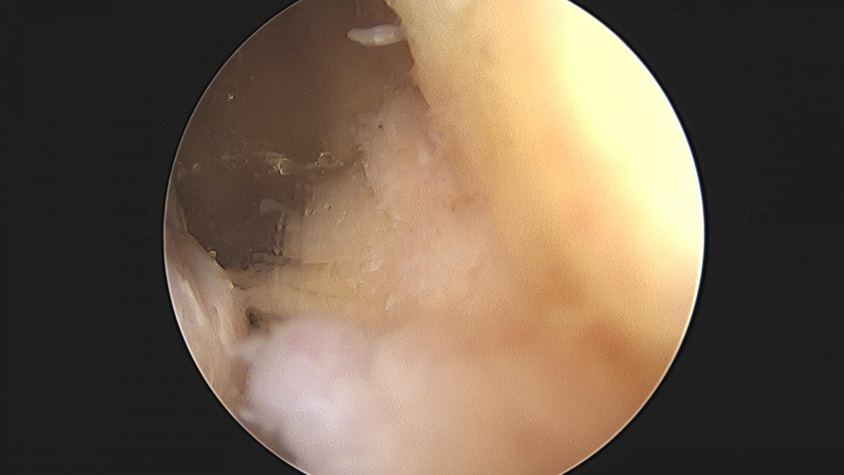 3cd48a8e02e388456e21d82dd041ccef_1652065602_2474.jpg