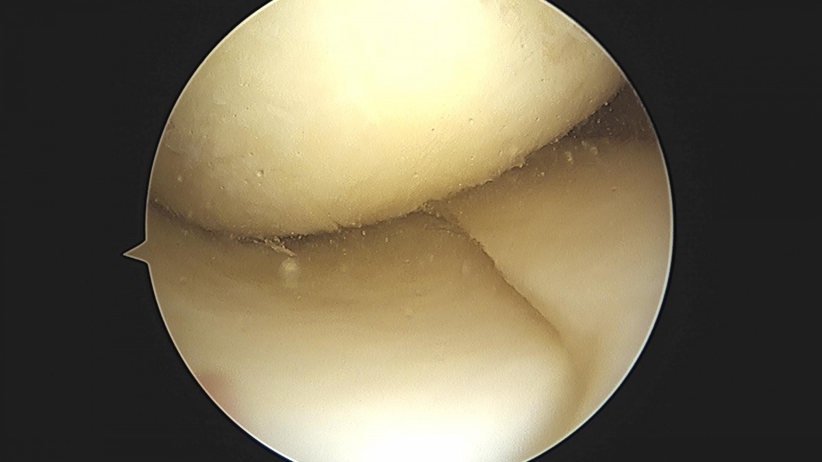 3cd48a8e02e388456e21d82dd041ccef_1652065602_9342.jpg