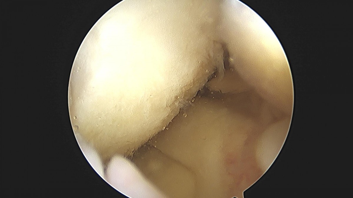 3cd48a8e02e388456e21d82dd041ccef_1652065603_5725.jpg