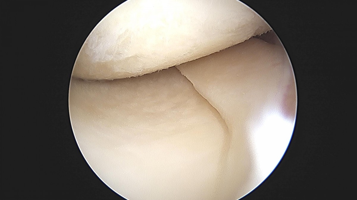 3cd48a8e02e388456e21d82dd041ccef_1652065604_8855.jpg