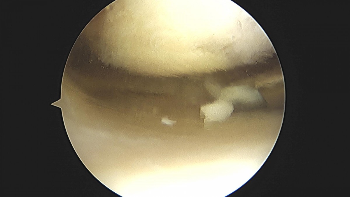 3cd48a8e02e388456e21d82dd041ccef_1652065605_5932.jpg