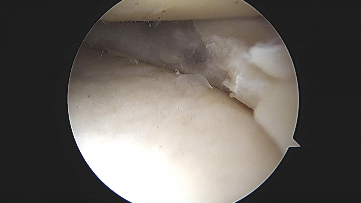 3cd48a8e02e388456e21d82dd041ccef_1652065615_4462.jpg