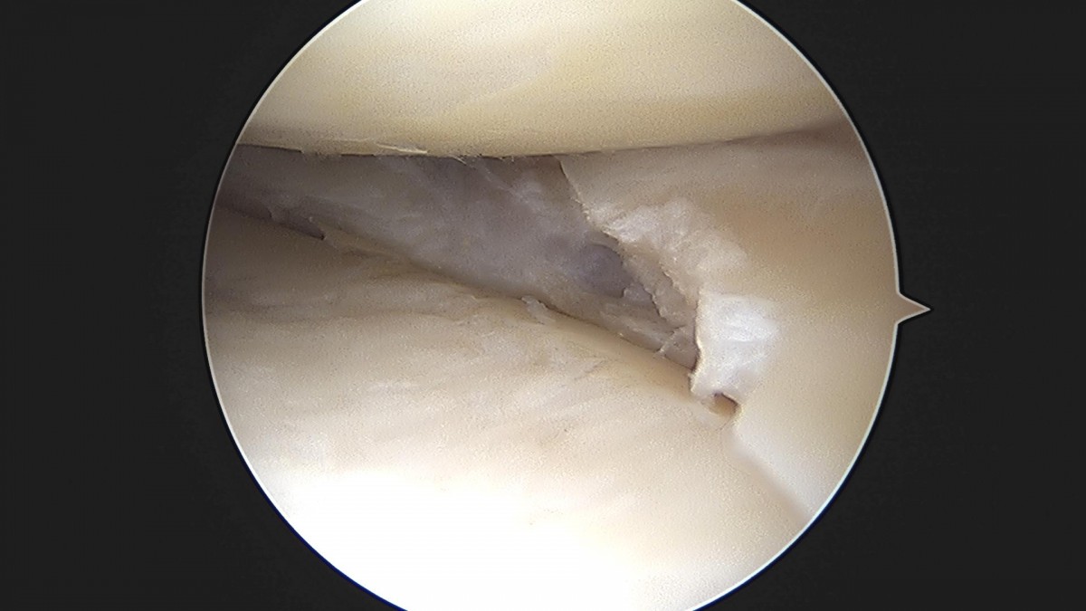 3cd48a8e02e388456e21d82dd041ccef_1652065616_0865.jpg