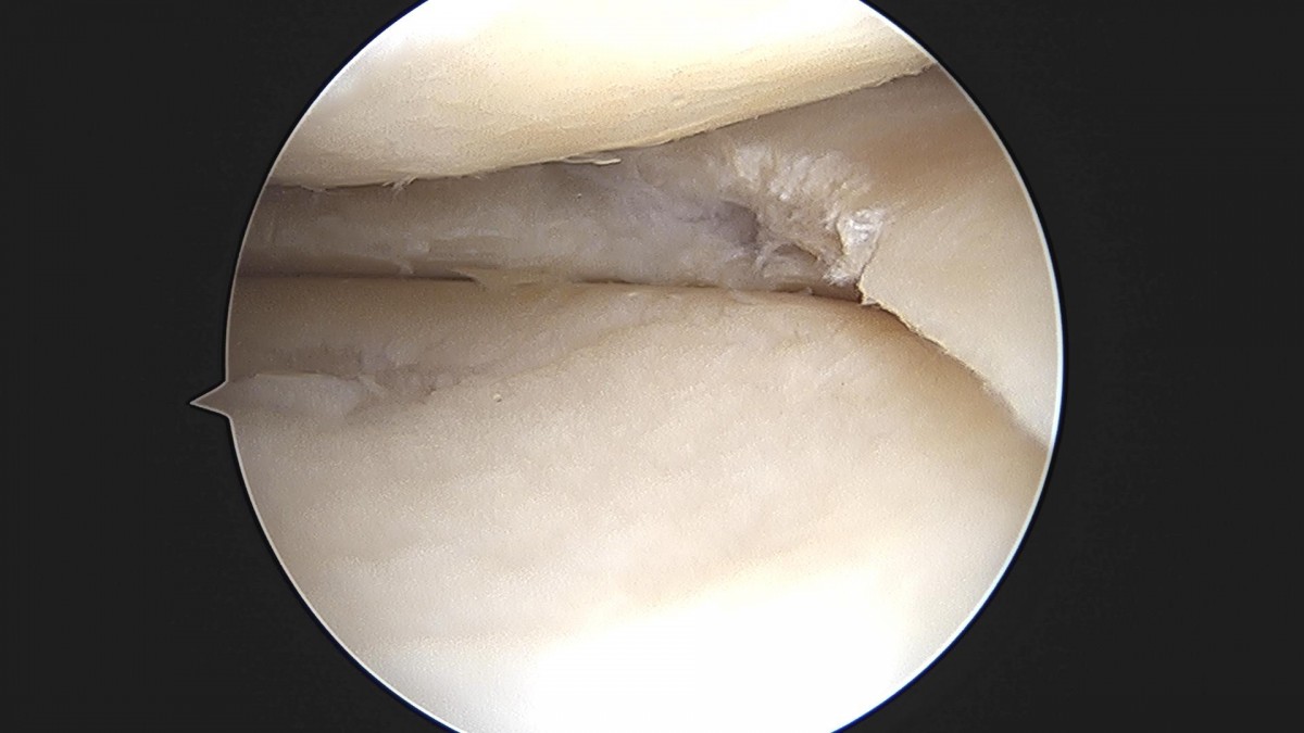 3cd48a8e02e388456e21d82dd041ccef_1652065616_7468.jpg