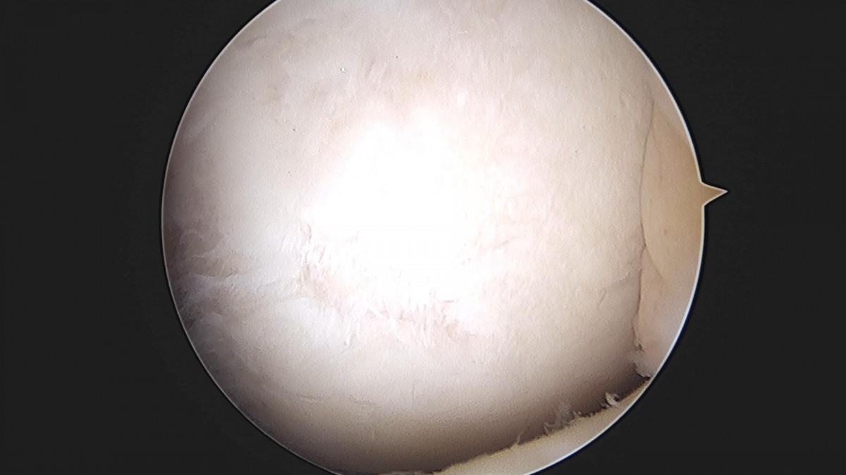 3cd48a8e02e388456e21d82dd041ccef_1652065618_7375.jpg
