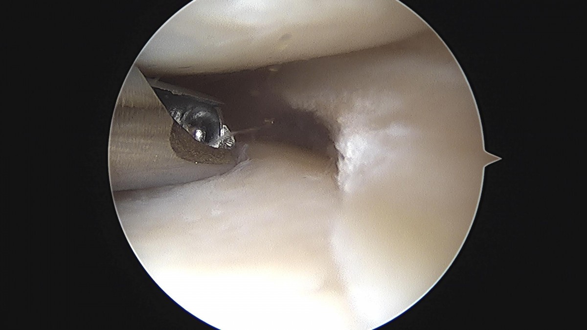 3cd48a8e02e388456e21d82dd041ccef_1652065619_382.jpg