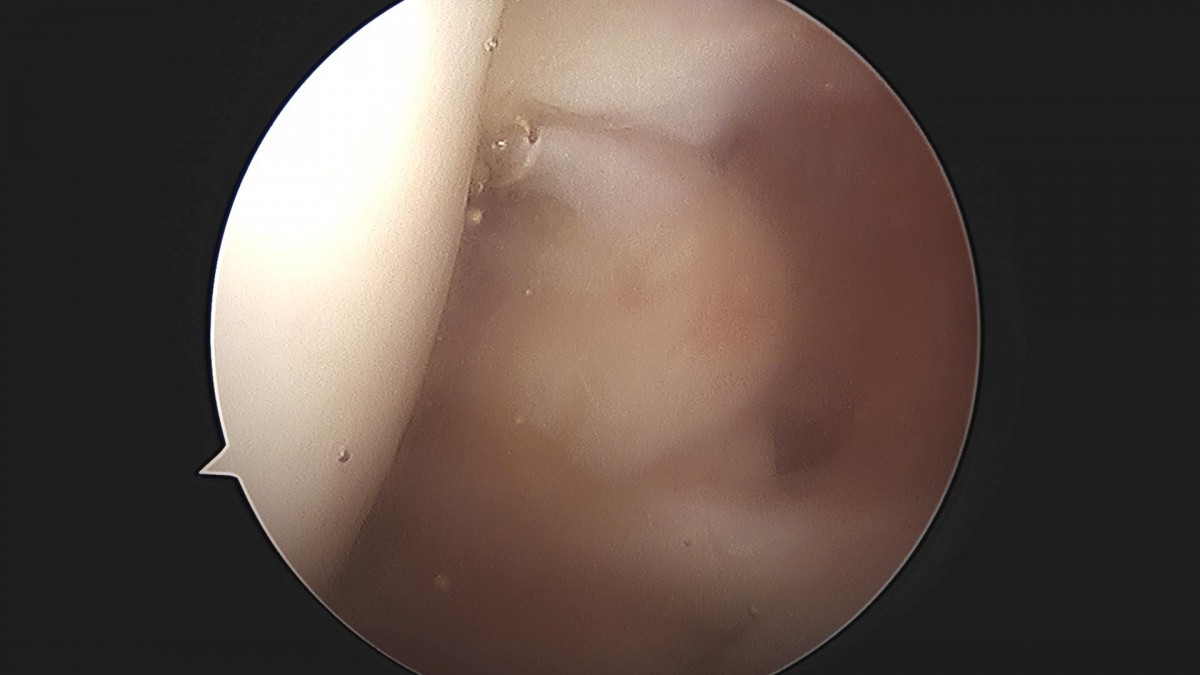 3cd48a8e02e388456e21d82dd041ccef_1652066119_4958.jpg