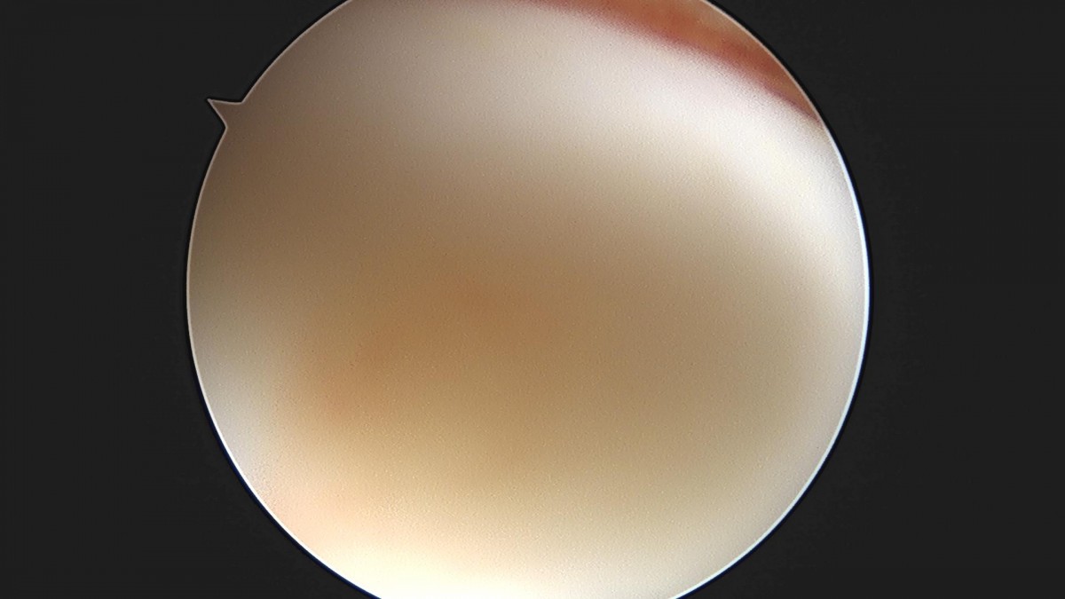 3cd48a8e02e388456e21d82dd041ccef_1652066120_8256.jpg