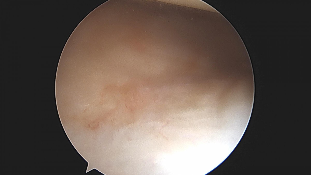3cd48a8e02e388456e21d82dd041ccef_1652066121_4693.jpg