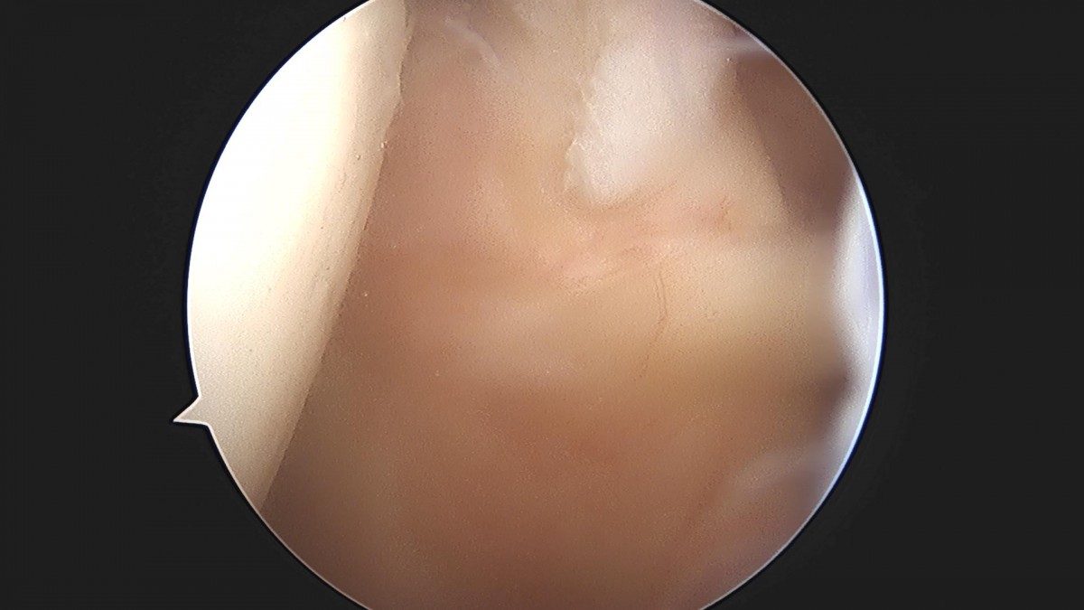 3cd48a8e02e388456e21d82dd041ccef_1652066122_1401.jpg