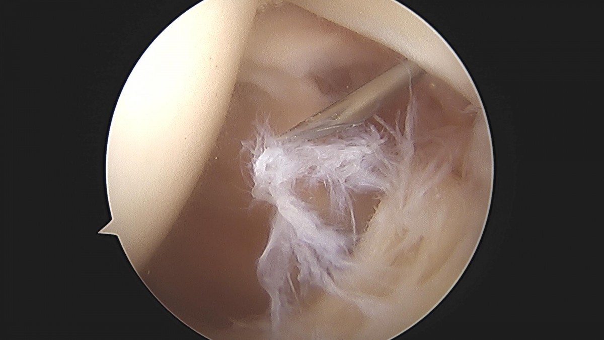 3cd48a8e02e388456e21d82dd041ccef_1652066122_7851.jpg