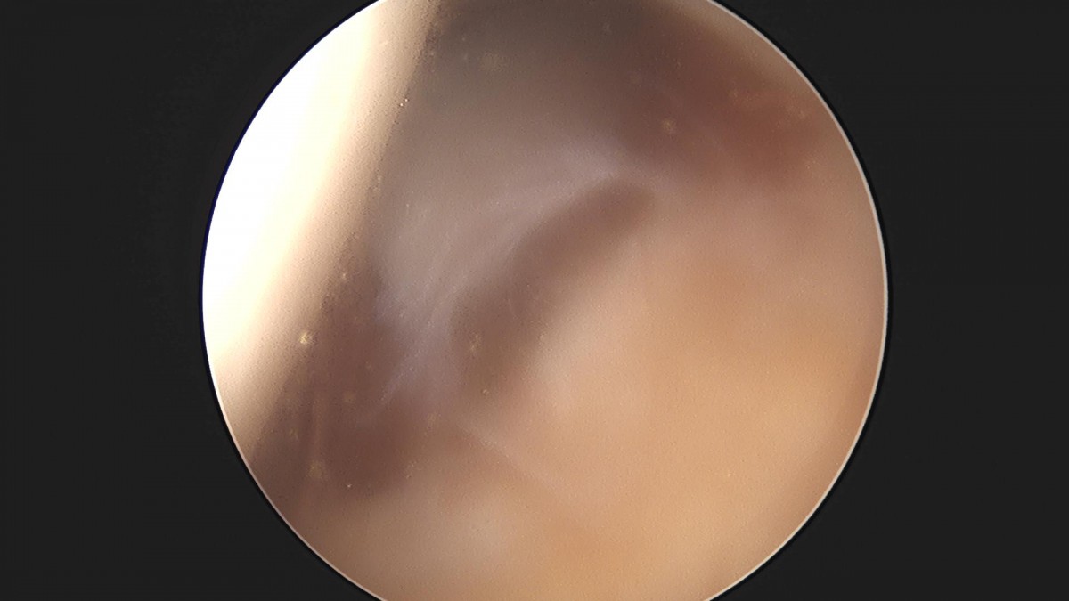 3cd48a8e02e388456e21d82dd041ccef_1652066123_4072.jpg
