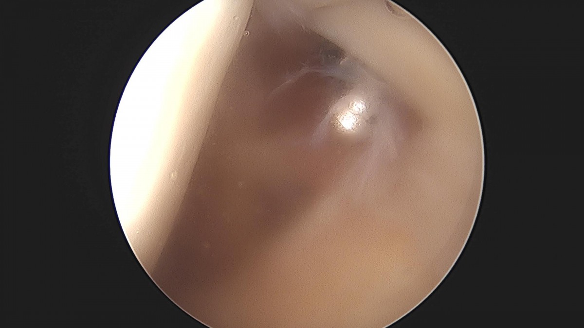 3cd48a8e02e388456e21d82dd041ccef_1652066124_0907.jpg