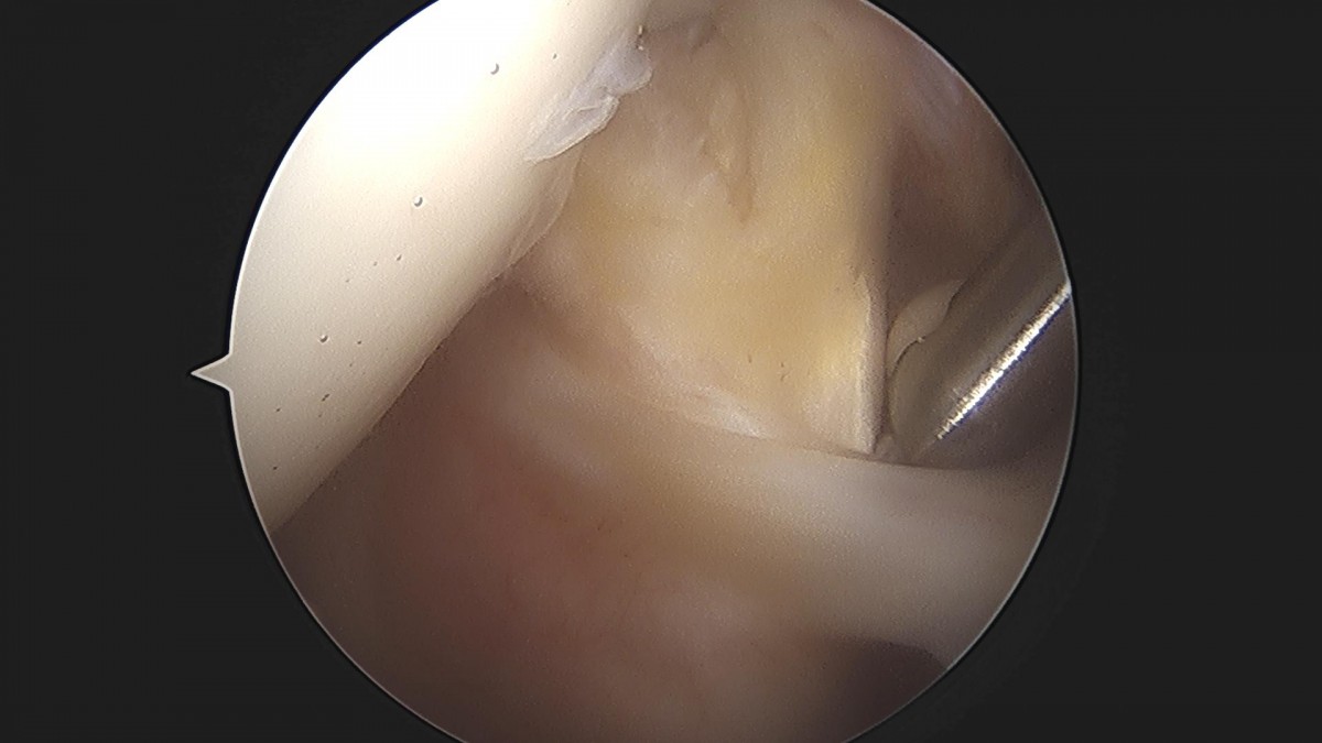 3cd48a8e02e388456e21d82dd041ccef_1652066124_7703.jpg