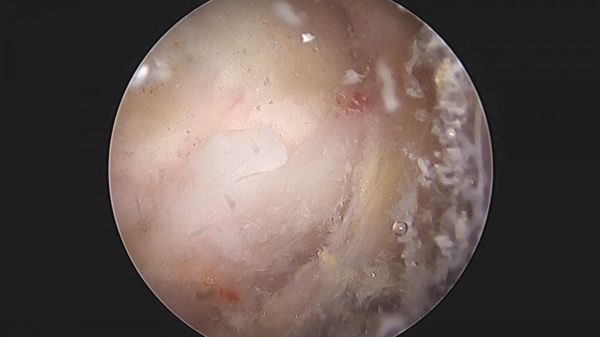 3cd48a8e02e388456e21d82dd041ccef_1652066135_7955.jpg