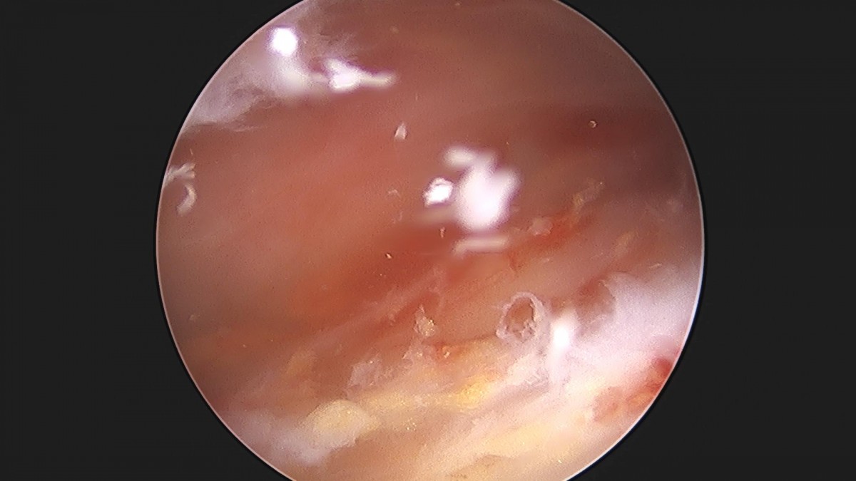 3cd48a8e02e388456e21d82dd041ccef_1652066136_4853.jpg