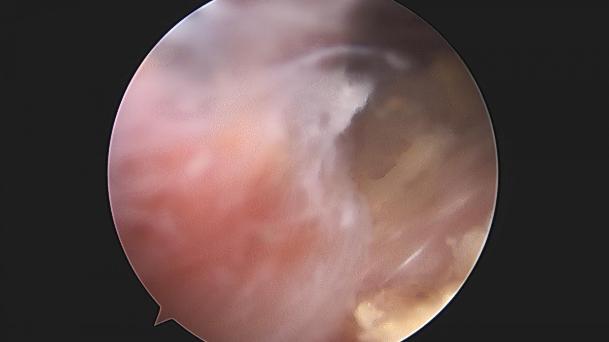 3cd48a8e02e388456e21d82dd041ccef_1652066137_188.jpg