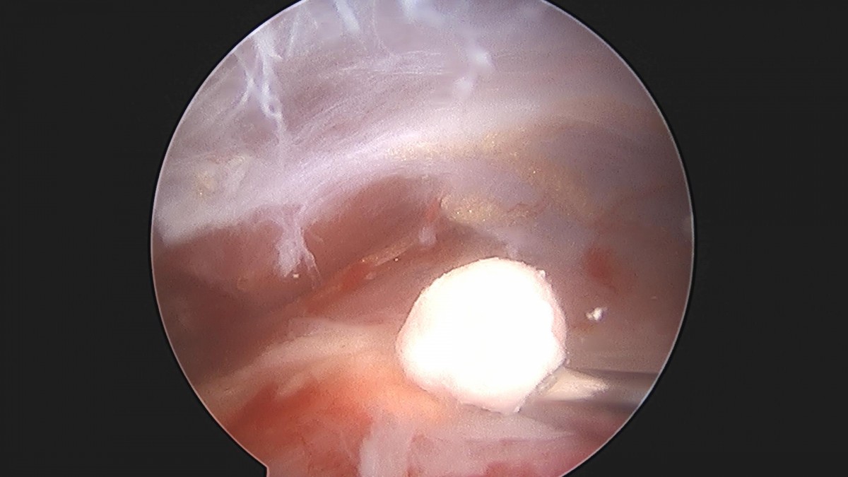 3cd48a8e02e388456e21d82dd041ccef_1652066139_1365.jpg
