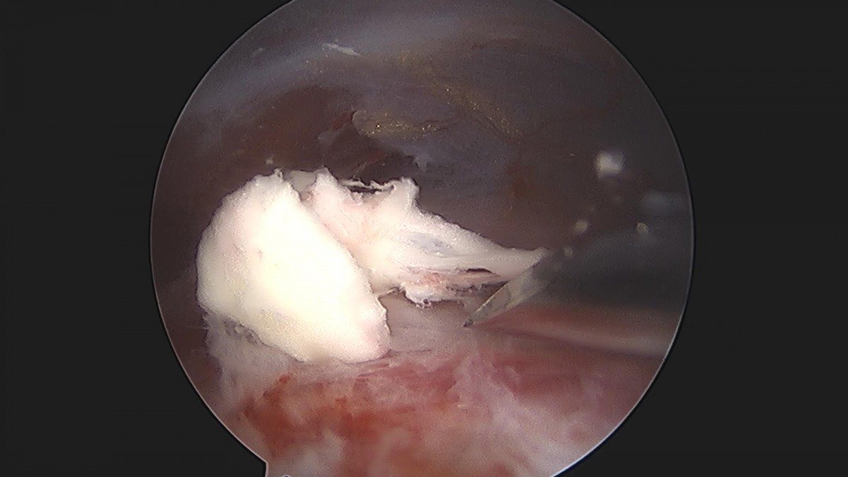 3cd48a8e02e388456e21d82dd041ccef_1652066139_8157.jpg